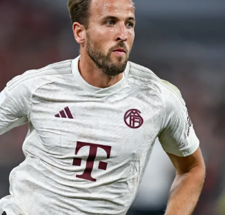 以其细腻的 以其细腻的